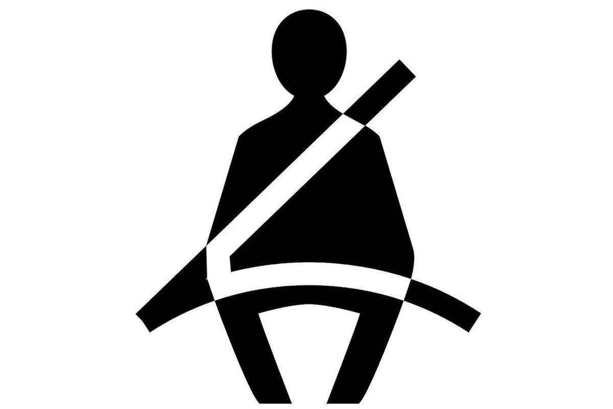 seat belt