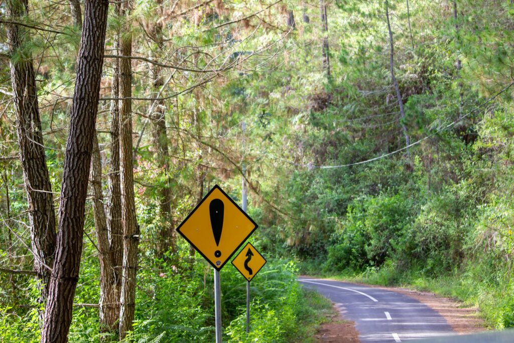 A narrow paved road curves through a lush, green forest with tall trees on both sides. Two yellow warning road signs stand along the roadside—one larger sign shows a bold black exclamation mark, indicating general caution, and the smaller sign below it displays a winding road symbol, warning drivers of sharp curves ahead. The scene is brightly lit with sunlight filtering through the trees, giving the forest a vibrant, peaceful feel.