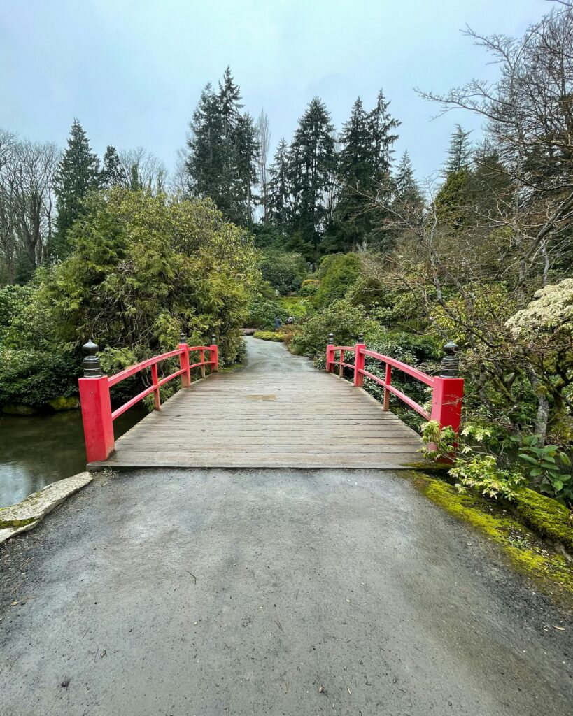 A wooden footbridge with bright red railings stretches over a narrow stream, leading into a winding garden path. The bridge is surrounded by dense green foliage, moss-covered ground, and a variety of shrubs and trees, some of which have bare branches. Tall evergreen trees rise in the background under an overcast sky, giving the scene a peaceful, natural atmosphere.